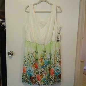 Lux II Lace and Chiffon dress